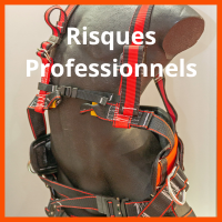 RISQUES PROFESSIONNELS Image