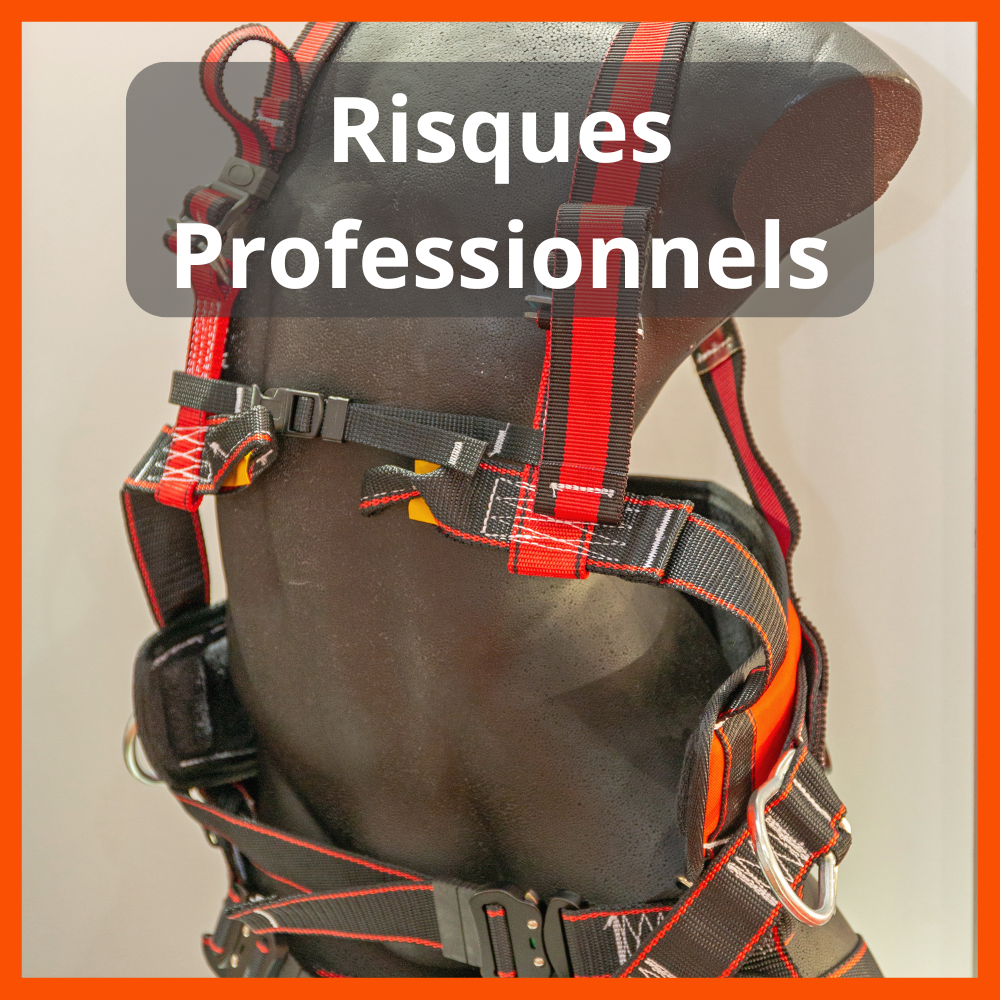 RISQUES PROFESSIONNELS Image